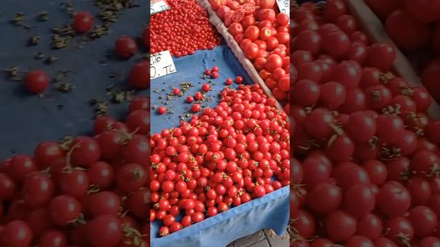 вторничный рынок в Махмутларе смотреть онлайн