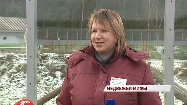 Медведи готовятся к зиме: развеиваем самые популярные мифы о спячке смотреть онлайн