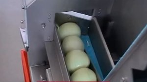 KRONEN GS10 - луковые кольца