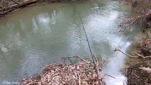 САМАШКИ.ОТДЫХ НА ПРИРОДЕ.РЫБАЛКА. смотреть онлайн