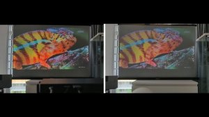 Wemax Go Advanced vs Samsung Freestyle