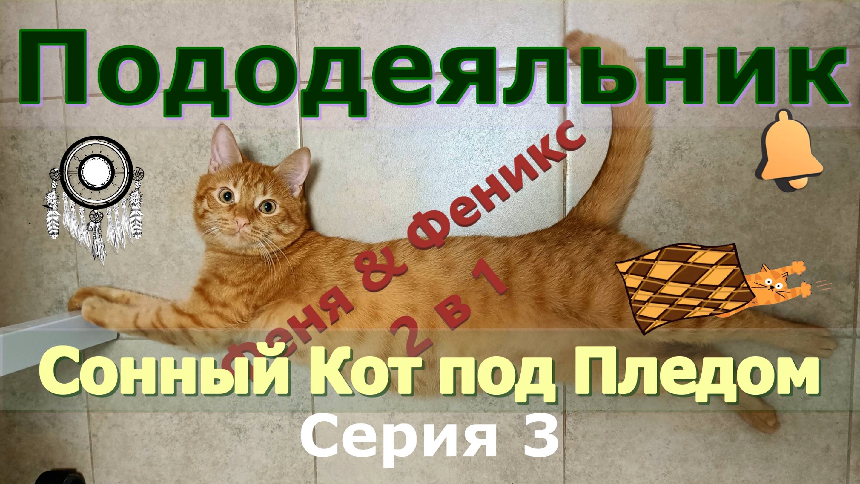 Пододеяльник. Сонный Кот под Пледом. Серия 3 Кот Феня, он же Феникс