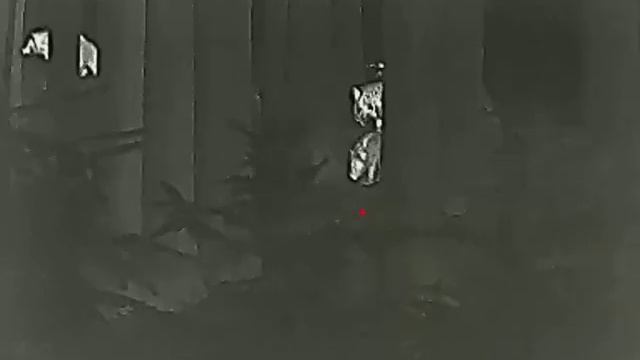 Lahoux Sight 35 - divočáci v lese смотреть онлайн