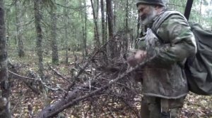 Сапоги, собака, тайга #9