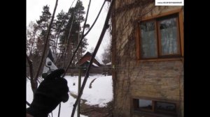 ОБРЕЗКА молодой СЛИВЫ.