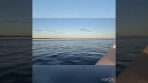 Катер Бриз 17.