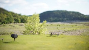 TTartisan 50mm F1.4 TILT Lens Review