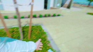 Растворяемся в Мертвом море / Соленый выпуск / Приключения в Израиле