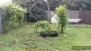 ?Нашли и Купили Дом в Краснодарском Крае//Обзор Дома,Усть Лабинский Район/Люди Бегут в Деревню!