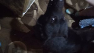 VID_20231106_191457.mp4