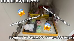 СКВИШИ|АРИША|ПЕРВОЕ ВИДЕО НА РЮТЮБ КАНАЛЕ
