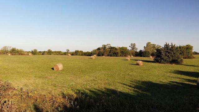 РЕШИЛ ПРОУЧИТЬ ПОХОТЛИВУЮ жену и взял с собой поработать.ОНА ТАКОЕ выдала, ЧТО МУЖ Истории из жизни смотреть онлайн