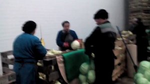 Спк береговой.реализация.зима.чистка капусты