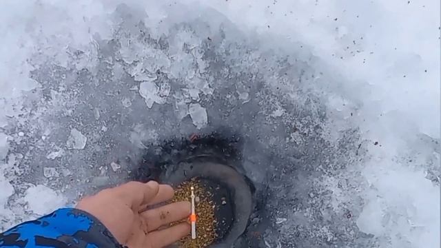 Бешеный клев плотвы в глухозимье . Ловля плотвы зимой . Зимняя рыбалка 2022 . Рыбалка 2022 . Плотва смотреть онлайн