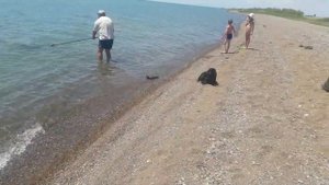 Капчагай ловля крупного сазана