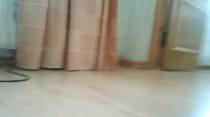 Молька (моя собака) очень смешная (песня из рассказа ,,карзина с еловыми шишками" в честь Дагни