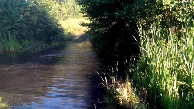 Брод на ларгусе смотреть онлайн