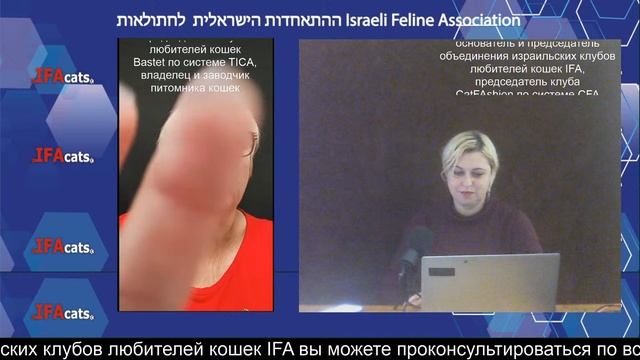 "Как подготовиться к родам кошки дома", "Делимся опытом" выпуск 6 смотреть онлайн