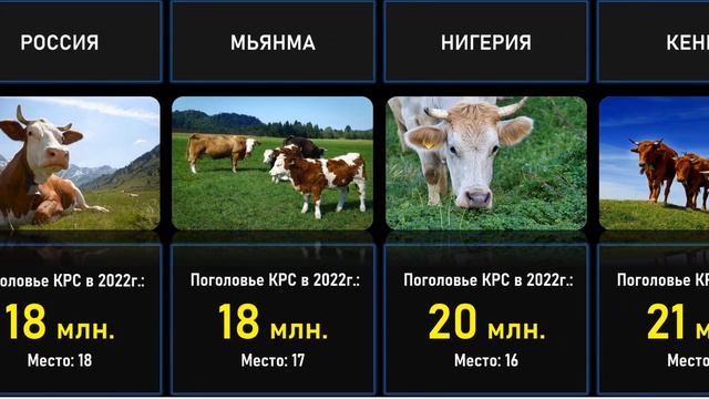 Поголовье скота в ЕАЭС В 2024. Первые 10 стран лидеров по поголовью животных.