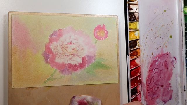 Акварель Розовый Пион по Сырому смотреть онлайн