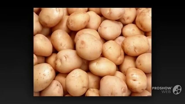 Выращивание_картофеля. Как_правильно_сажать_картошку.