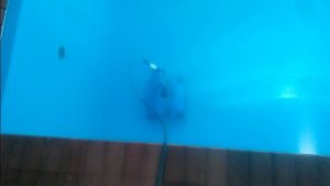 Не правильная работа робота-пылесоса для бассейнов DOLPHIN M4