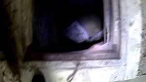 Находки в заброшенных подворьях.