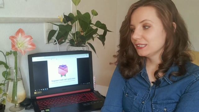 Вирощування та пророщування сандалу (Santalum) з насіння (сандалове дерево) смотреть онлайн