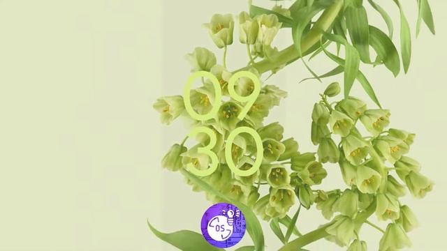 Samsung Galaxy S22 Ultra vs Xiaomi 12 Pro - WHAT XIAOMI DOESN'T WANT YOU TO KNOW смотреть онлайн