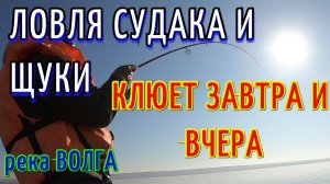 ЛОВЛЯ СУДАКА НА ДЖИГ. ЛОВЛЯ ЩУКИ НА ДЖИГ. РЕКА ВОЛГА.