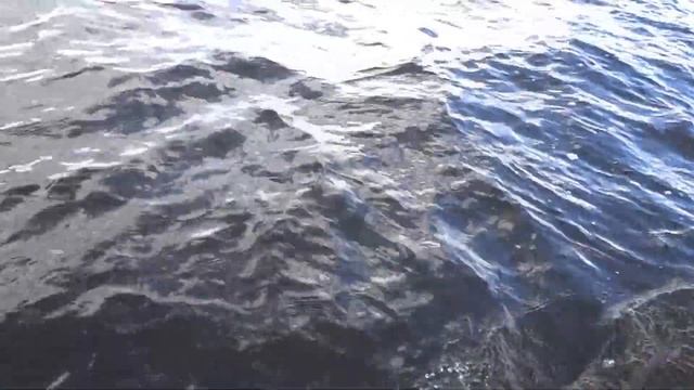 Рыбалка на Верхне-Волжских озерах \ Озеро Стерж / Рыбалка на Стерже смотреть онлайн