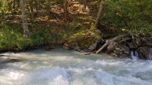 рыбалка в КБР # Trout fishing 🎣 # супер форель