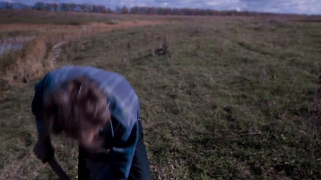 посадка деревьев