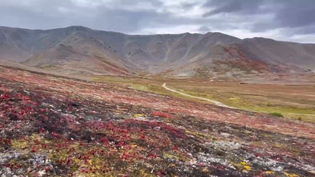 Чукотка!! Быстрый 2022 смотреть онлайн