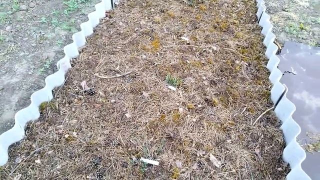 Клюква- это кладязь витаминов для организма. смотреть онлайн