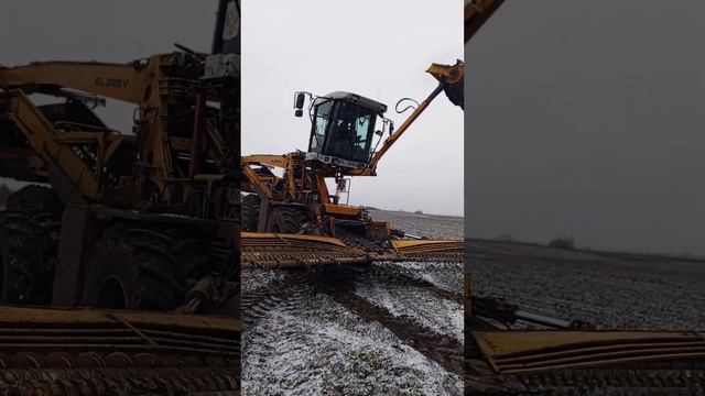 Свеклопогрузчик Franz Kleine RL 350.Продам. смотреть онлайн