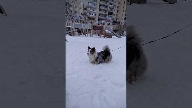 Вкусный снег смотреть онлайн