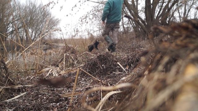 Садимо дерева (верба) швидко та просто.24/01/2020. смотреть онлайн