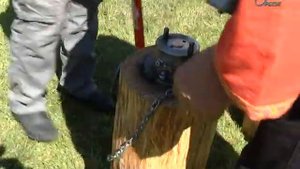 Кингисепп. День города.