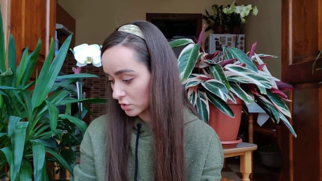 Когда пересаживать орхидеи? смотреть онлайн