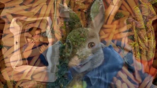 Кролик Питер 2 - кадры из мультфильма