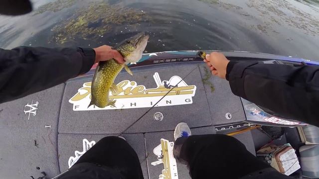 Bassmaster Open Lake Champlain смотреть онлайн