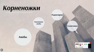 Класс корненожки, саркодовые. Амеба. Лекция и разбор заданий ЕГЭ по теме корненожки.
