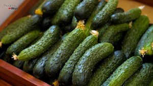 КАК УБРАТЬ ПУСТОЦВЕТ НА ОГУРЦАХ
