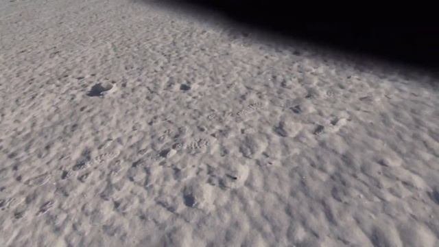 СНЕЖНЫЙ ЧЕЛОВЕК ( и не один ) в Калужской области