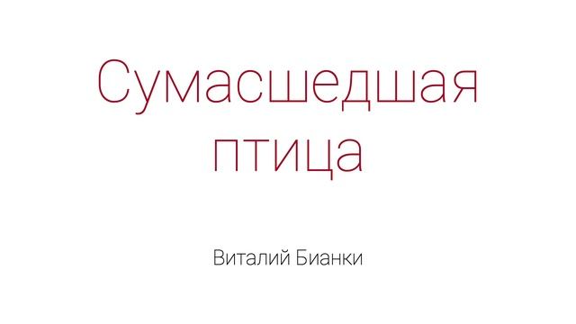 Сумасшедшая птица смотреть онлайн