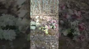 За мной пришла СМЕРТЬ С КОСОЙ! *просто гуляла по кладбищу*