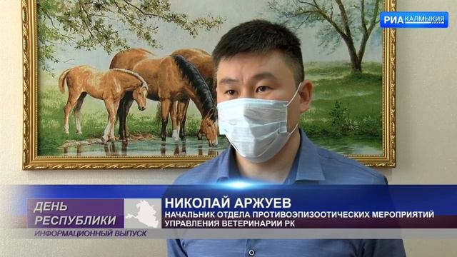 Калмыкия не входит в зону риска по птичьему гриппу смотреть онлайн