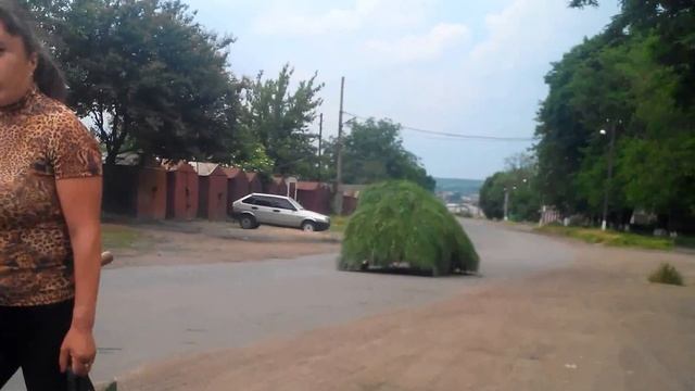 Доставка сена в Новоукраинке! смотреть онлайн