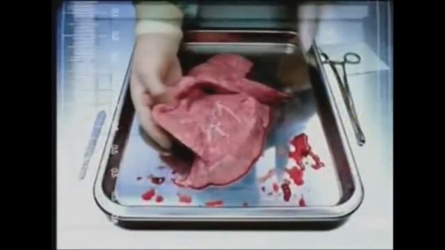 Вред от курения и от приёма наркотиков смотреть онлайн